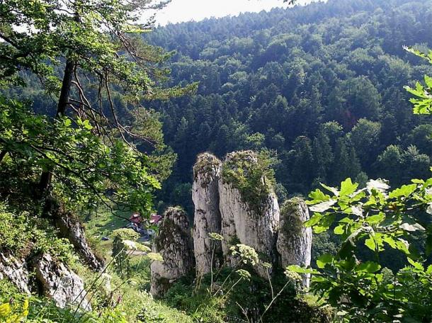 Scandinavian Girl Found with Bird Skulls