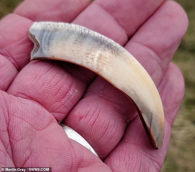 Erosion Unveils a Possible Neolithic Village Site Near Skara Brae in Orkney