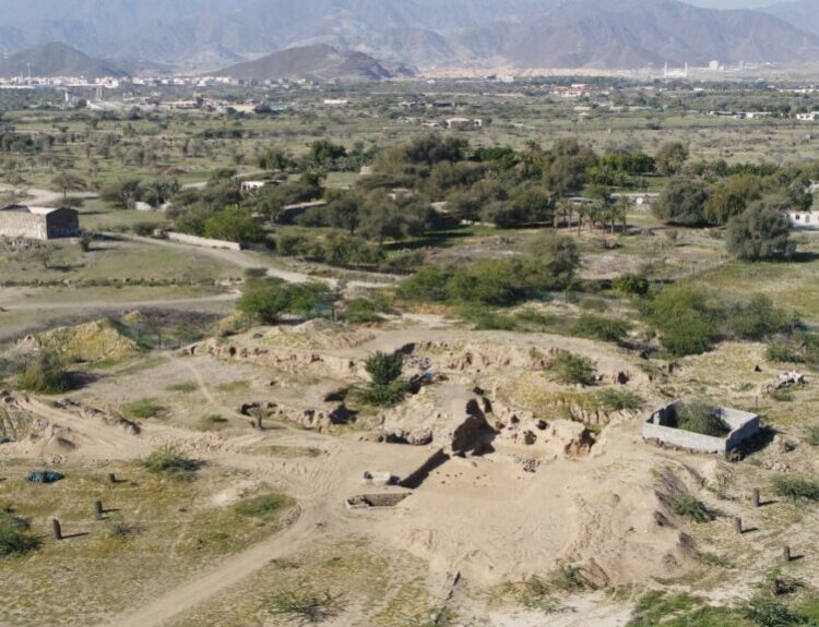 A 4000-Year-Old Seal Found in the prehistoric coastal site of Kalba on the Gulf of Oman