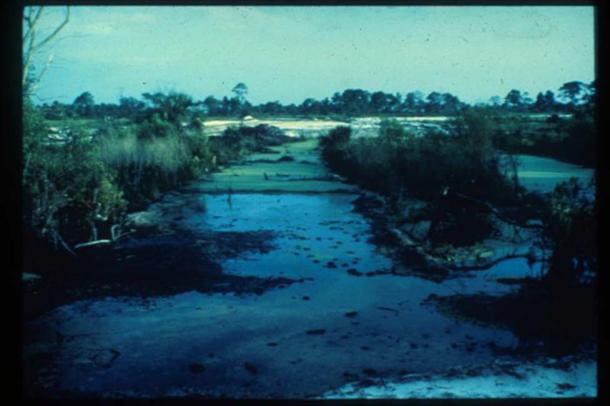 7,000-Year-Old Native American ‘Bog Burial’ Found Off the Coast of Florida