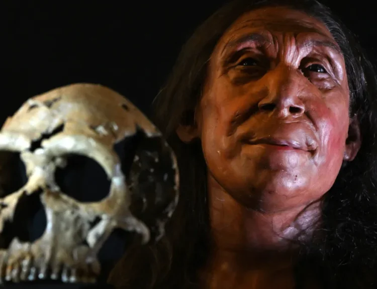 Face of a 75,000-Year-Old Neanderthal Woman revealed by Scientists