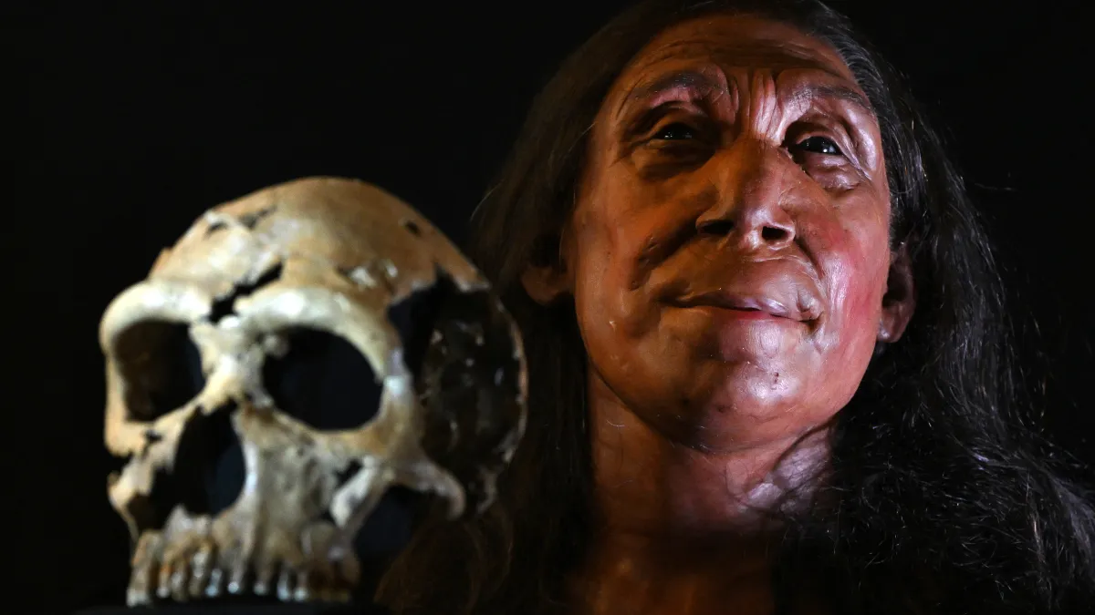 Face of a 75,000-Year-Old Neanderthal Woman revealed by Scientists