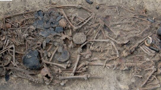 5,000-Year-Old Mass Grave Reveals Brutal Bronze Age Family Massacre in Poland