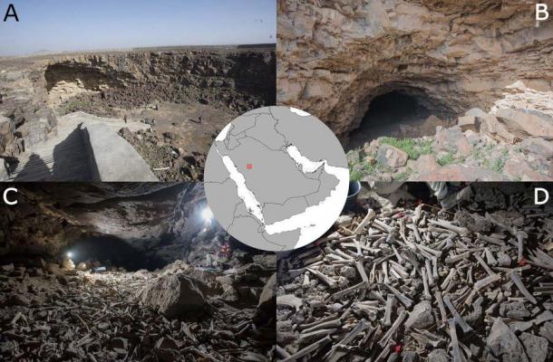 Thousands of human and animal bones hoarded by hyenas in lava tube system, Saudi Arabia
